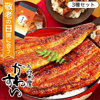 うなぎ 国産 かわすい 冷凍 うなぎ蒲焼き 3種セット ウナギ 鰻 蒲焼き ひつまぶし グルメ 内祝い うなぎ屋かわすい 送料無料 プレゼント 誕生日プレゼント 母親 父親 敬老 高級 人気 60代 70代 80代 90代 健康
